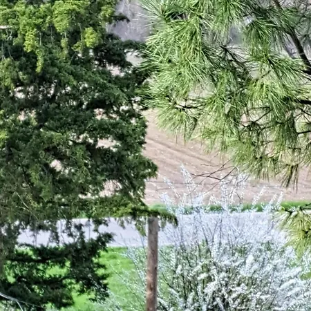 Country house Torre Colombaia Salsomaggiore Terme