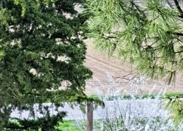 Landhuis Torre Colombaia Salsomaggiore Terme