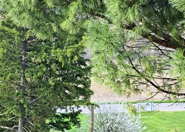 Torre Colombaia Salsomaggiore Terme